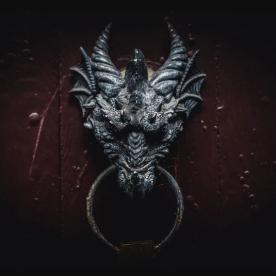 Dragons Dragons